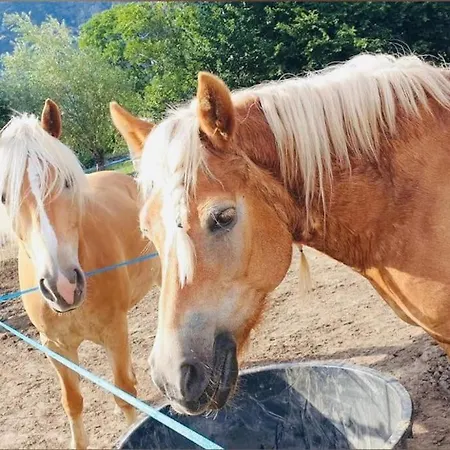 شقة Relax Home,nel Cuore Della Valle D'aosta مونتجوفيت