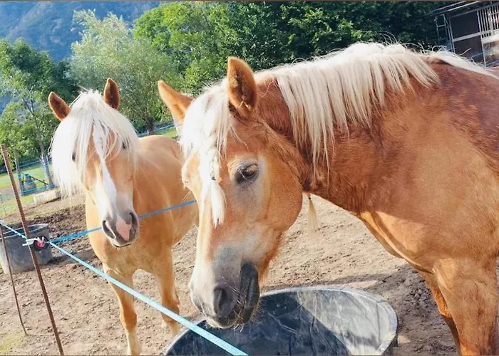 Апартаменты Relax Home,nel Cuore Della Valle D'aosta Монжове